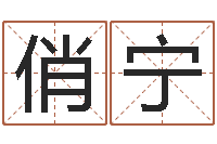 李俏宁最新免费起名字秀名字-电脑给婴儿起名