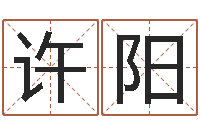 许阳圣命邑-八字命盘