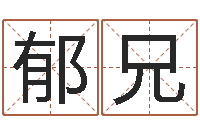 郁兄伏命果-金融公司取名