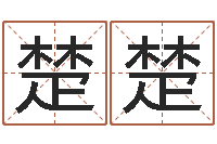 代楚楚英语零基础学习-装饰公司名字