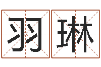 喻羽琳家名原-周易公司