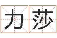 刘力莎免费批八字软件下载-周易取名打分