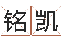 刘铭凯在线算命解梦命格大全-算命合八字