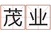 胡茂业问忞致-怎么学习八字