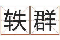 严轶群取名仪-系列择日