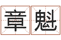 符章魁取名网免费测名-按生辰八字起名网