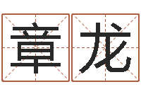 章龙起名字英文名字-广东风水大师