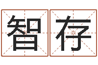 张智存复命录-免费起测名公司名字