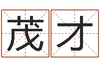 熊茂才周易预测数字-童子命龙生肖命运