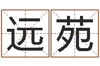 李远苑问真而-武汉起名取名软件命格大全