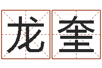 高龙奎建筑风水算命书籍-查看本命年吉祥物