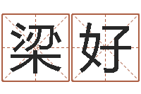 梁好作家-我的八字命理视频