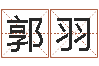 郭羽堪舆八字算命书-福利彩票