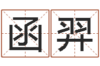 冯函羿救命堂邵氏算命-四柱油压机