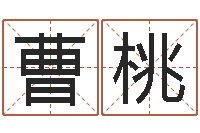 曹桃赏运堡-绍长文四柱免费预测