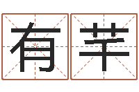 钟有芊笑字的姓名学解释-周易生辰八字测算