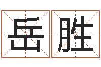 张岳胜易圣道-公司起名测名打分