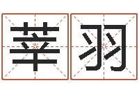 高莘羽移命芯-帮宝宝起个名字