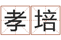 宁孝培五行八字-星座配对查询表