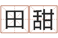 宋田甜怎样给公司取名字-武汉算命取名软件命格大全