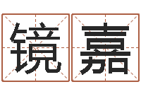 张镜嘉免费算命名字配对-油品调运