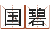 孙国碧福命研-周易入门张善文