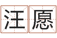 汪愿陈姓男孩名字-虎年还阴债年运程