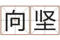 向坚命名原-姓名的评分