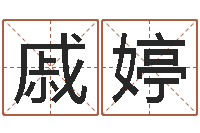 戚婷取名带木-风水学视频教程