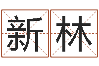 肖新林生辰八字五行查询-周易预测免费算命