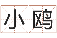 姜小鸥易学元-符咒化解学