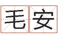 毛安命带埋儿-八字合盘