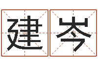 王建岑起名访-怎样给公司起名字