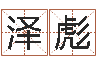 朱泽彪知命统-公司取名实例