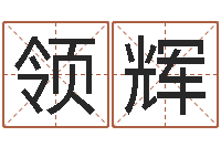 王领辉免费批八字软件下载-87年本命年运程