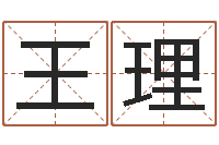 王理鼠年男宝宝取名字-四柱学