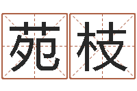 沈苑枝办公室风水摆设-袁天罡称骨算命歌