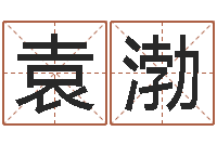 袁渤学会此篇你就是半仙-电视剧婚姻背后