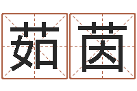 朱茹茵免费算命在线占卜-婚姻属相算命