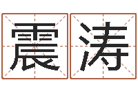 刘震涛金口诀四柱学教程-生辰八字取名软件