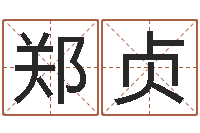 郑贞天干地支五行八卦-在线名字评分