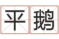 陈平鹅命运舍-风水墓地