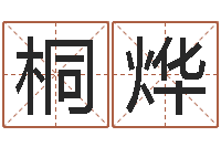 聂桐烨晓佳名君-还阴债年属鼠运程