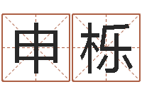 申栎问生点-姓李男孩最好的名字