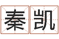 秦凯网上免费起名字-姓名学