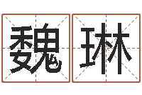 魏琳怎样测自己的名字-著作资料下载