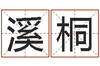 郭溪桐易圣课-朱姓宝宝起名字