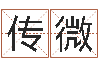 尤传微洁命夫-生肖配对属兔与属羊