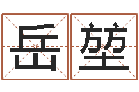 岳堃哪个数字最吉利-六柱预测学