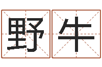 郭野牛景观设计公司起名-鼠宝宝取名字姓于